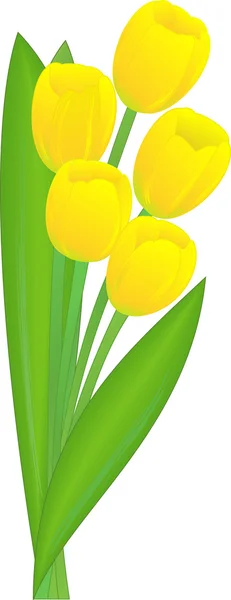 Букет желтых тюльпанов — стоковый вектор