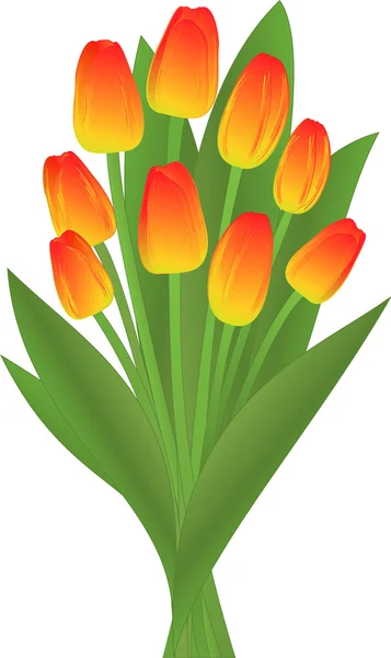 stock vector Bouquet of the tulips