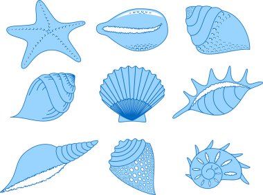 The collection of the cockleshells clipart