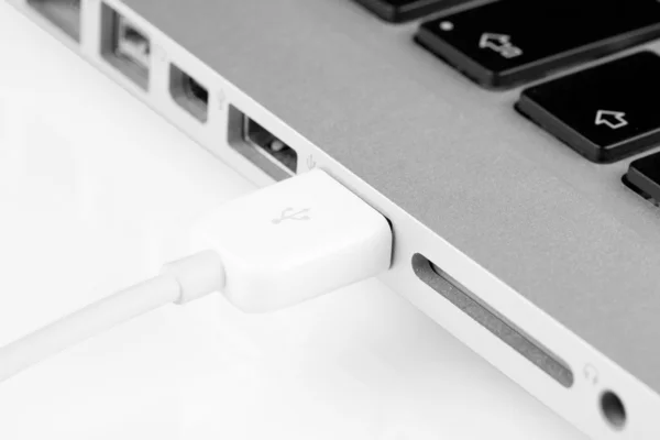 Laptop with usb connector closeup — Stock Photo, Image