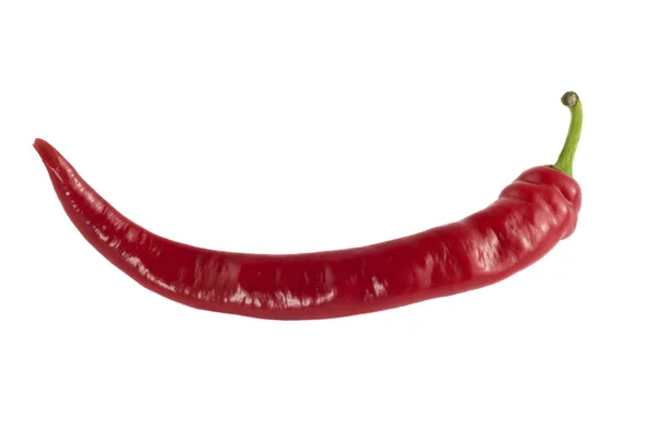 Kırmızı biber — Stok fotoğraf