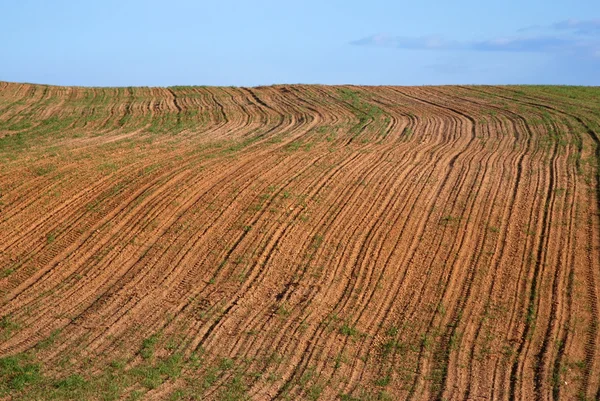 Arable field with a blue sky — Stock Photo, Image