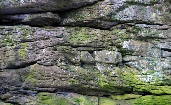 Fragmento de uma pedra velha com um musgo e — Fotografia de Stock