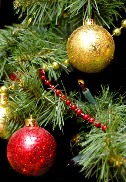 Bolas de Natal no ramo de árvores de pele — Fotografia de Stock