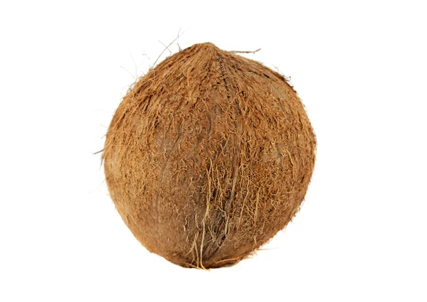 Tam coco üzerinde beyaz izole — Stok fotoğraf