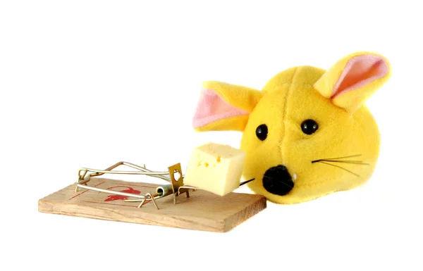 stock image Mousetrap with cheese