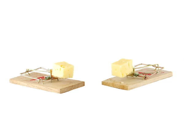 Två råttfällor med ost igen vit — Stockfoto