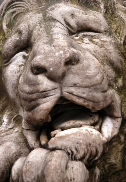 stock image Monument of lion