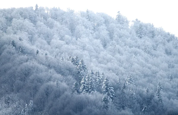 Zimowe góry krajobraz — Zdjęcie stockowe
