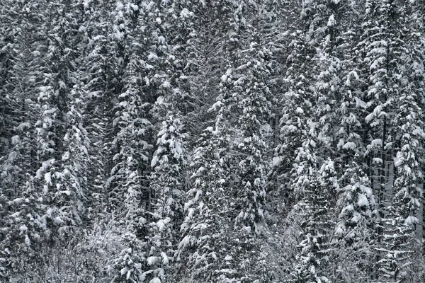 Invierno montañas paisaje —  Fotos de Stock