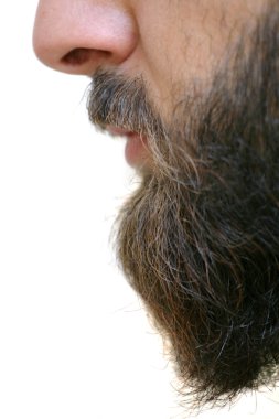 Beard closeup clipart