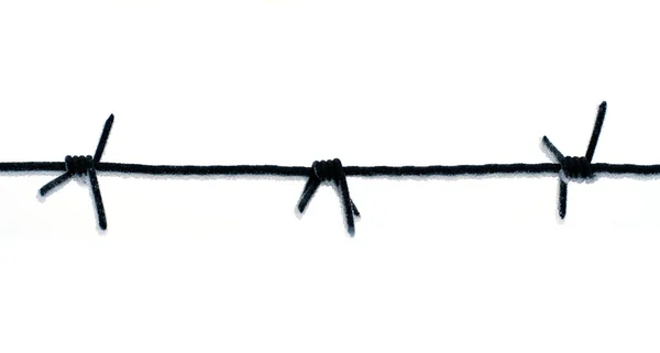 Donmuş barbwire — Stok fotoğraf