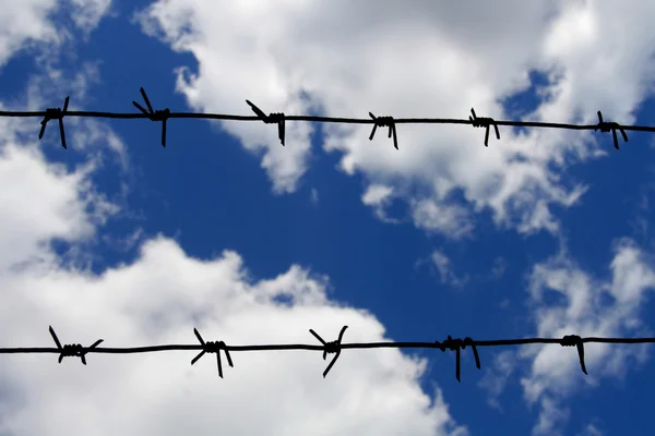 Taggtråd mot blå himmel — Stockfoto