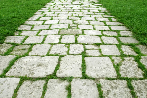 Stone walkway on a grassy field — Stock Photo, Image
