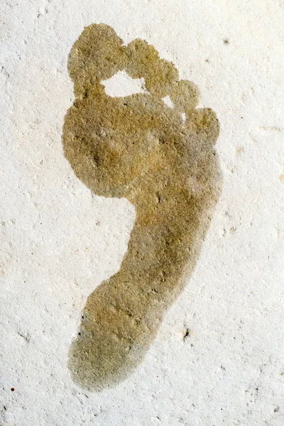 Мокрый след на камне — стоковое фото