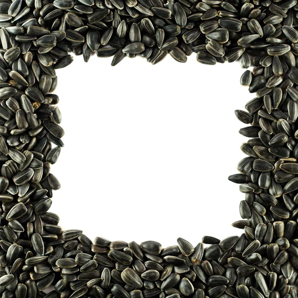 Sunflower seeds frame — Stock Photo, Image