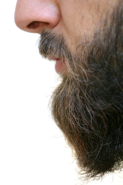Борода крупным планом — стоковое фото