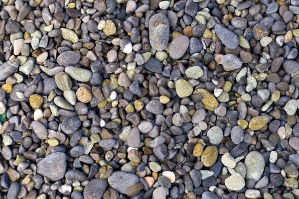 Sea peeble stones background — Stock Photo, Image