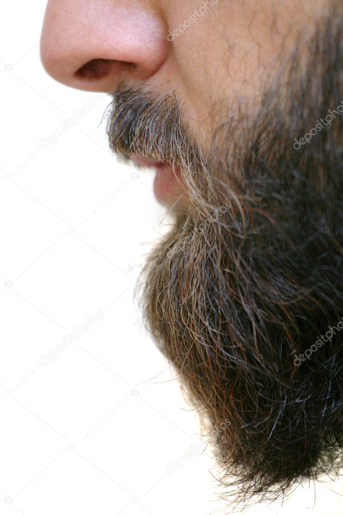 Beard closeup
