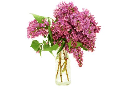 buket lilac şeffaf cam aranjman