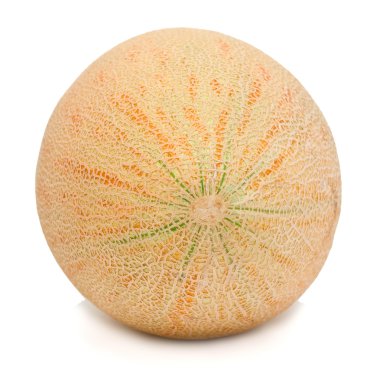 Melon clipart