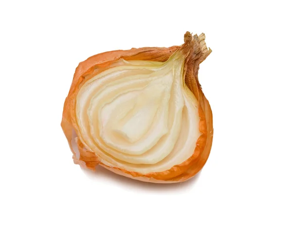 Połowę cebuli — Zdjęcie stockowe