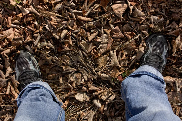 Füße auf Blättern — Stockfoto