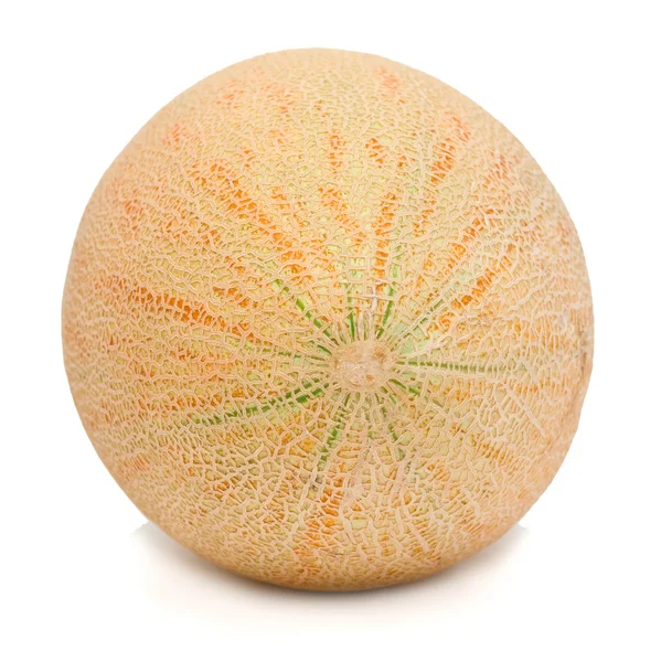 stock image Melon