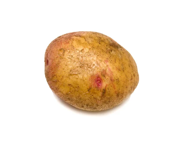 成熟的土豆 — 图库照片