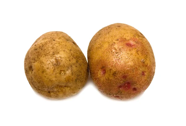 Två mogna potatis — Stockfoto