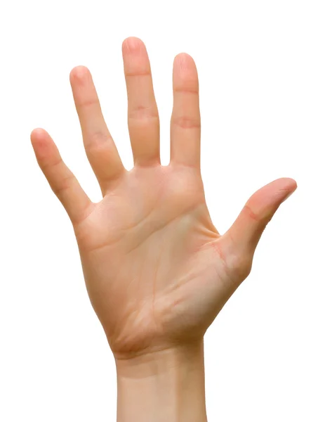 Beş parmak — Stok fotoğraf