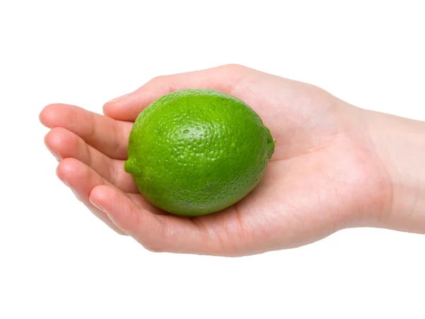 Lime in palm — Stock Photo, Image
