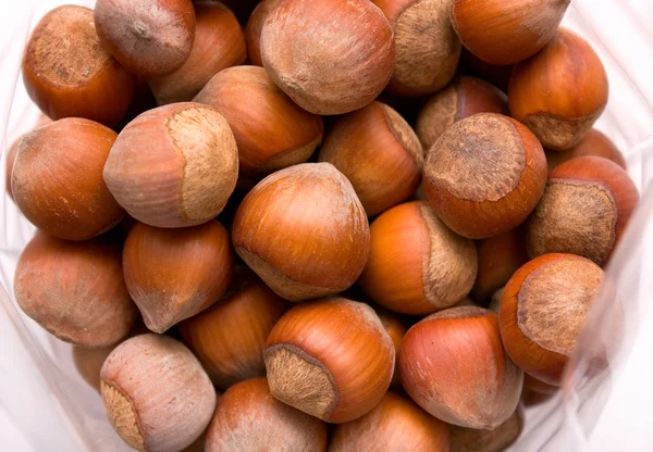 Closeup ořechů — Stock fotografie