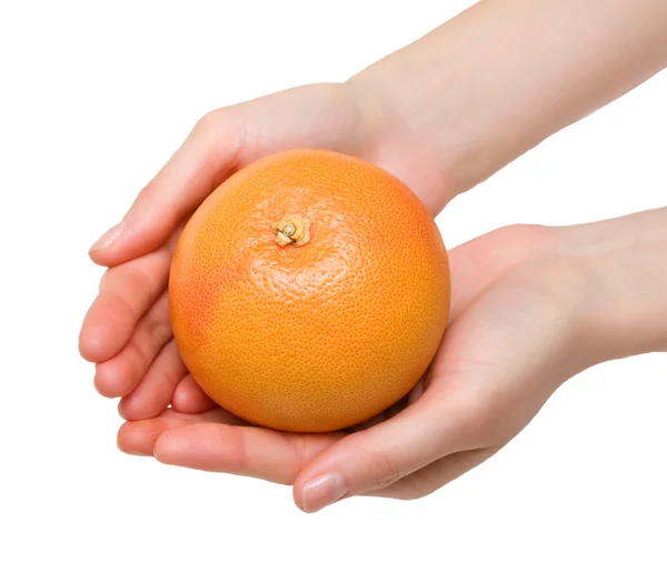 Grapefruit in handen Stockafbeelding