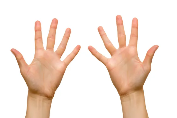 Ženské ruce dlaněmi Stock Fotografie