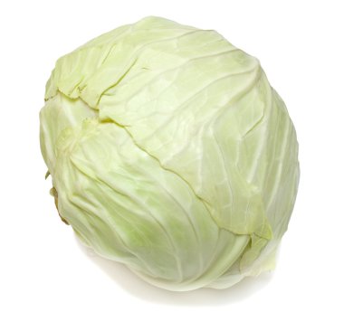 White cabbage clipart