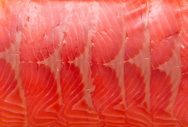 Filetto di pesce rosso — Foto Stock