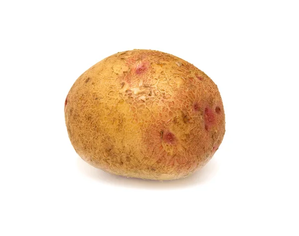 Ripe potato — Stock Photo, Image