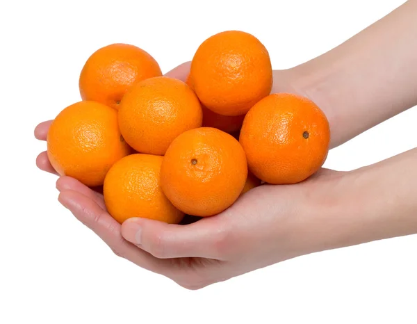 Mandarinky v rukou — Stock fotografie