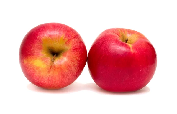 Zwei Äpfel — Stockfoto