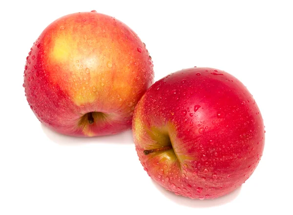 2 つの濡れたリンゴ — ストック写真