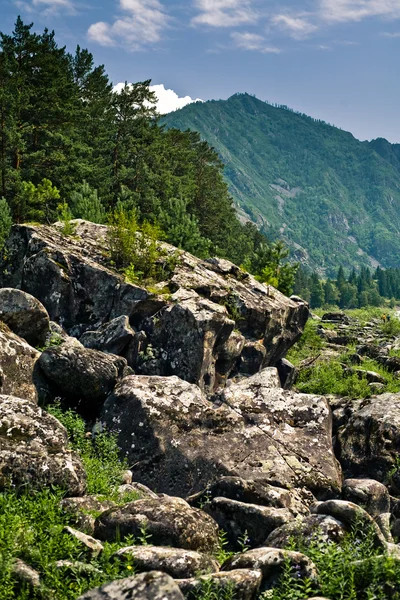 Altai Stockafbeelding