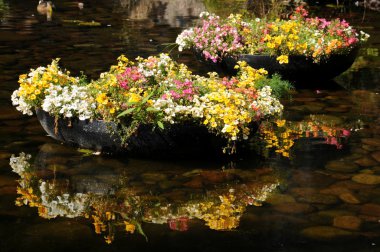 Flower beds on a pond clipart
