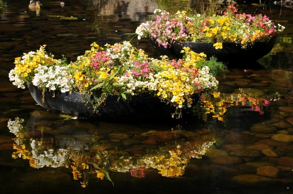 stock image Flower beds on a pond