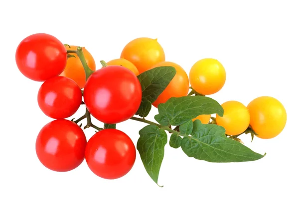Pomidory czerwone i żółte — Zdjęcie stockowe