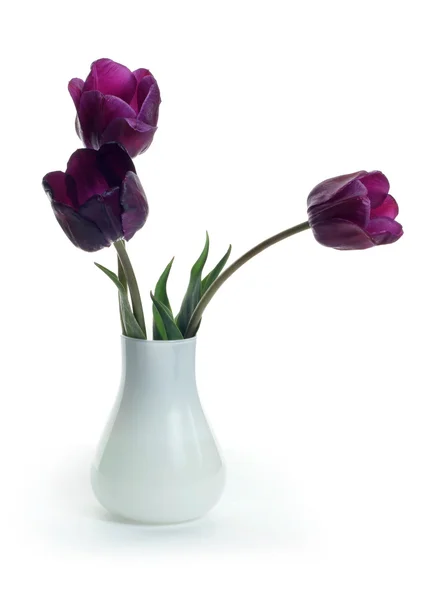 紫郁金香的花束 — 图库照片