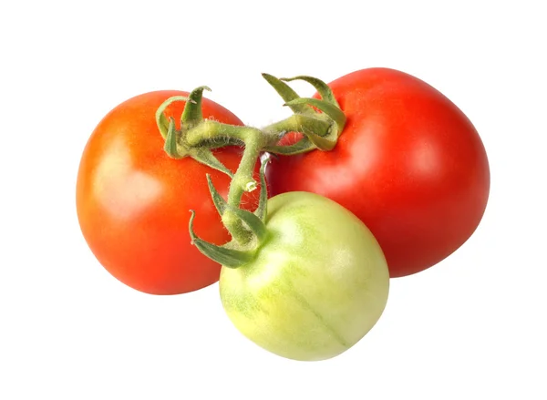 Pomodori rossi e verdi — Foto Stock