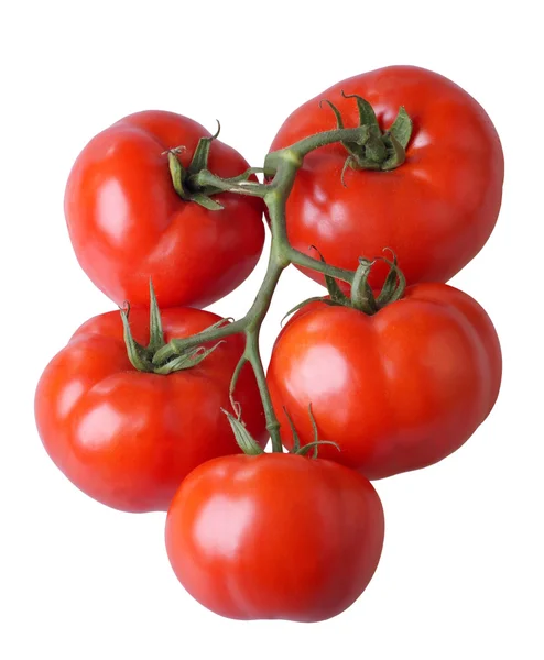 白色背景的红色西红柿 — 图库照片