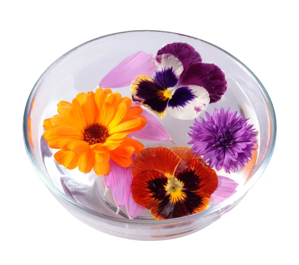 Чаша воды и цветы — стоковое фото