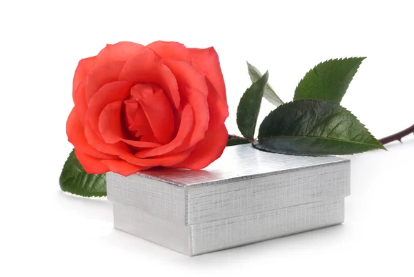 Scarlet rose och silver box — Stockfoto